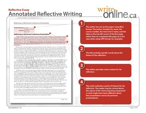 write  reflective report    reflective essay