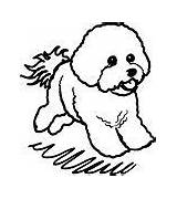 Bichon Dog Coloring Pages Puppy Drawing Cute Book Care Frise sketch template