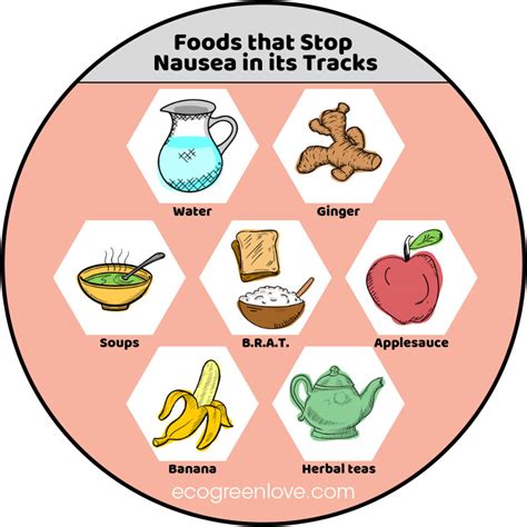 why you feel nauseous and foods that stop it [infographic] ecogreenlove