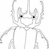 Escarabajos Beetle sketch template