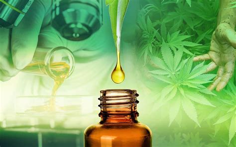 what is cbd ultimate guide to cannabidiol cbd