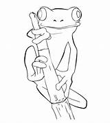 Frog Coloring Pages Tree Cute Frogs Drawings Print Drawing Printable Coqui Animal Outline Kids Worksheets Animals Sheets Color Pencil Dibujos sketch template