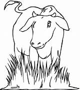 Vache Vaca Coloriage Prairie Pasturas Kleurplaten Koe Krowy Koeien Boerderij Kolorowanki Krowa Kleurplaat Vacas Kolorowanka Pintura Riscos Imprimer Imprimir Acessar sketch template