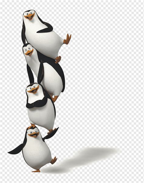 madagaskar pinguine pinguin madagaskar pinguine akitaclub tiere animation png pngwing