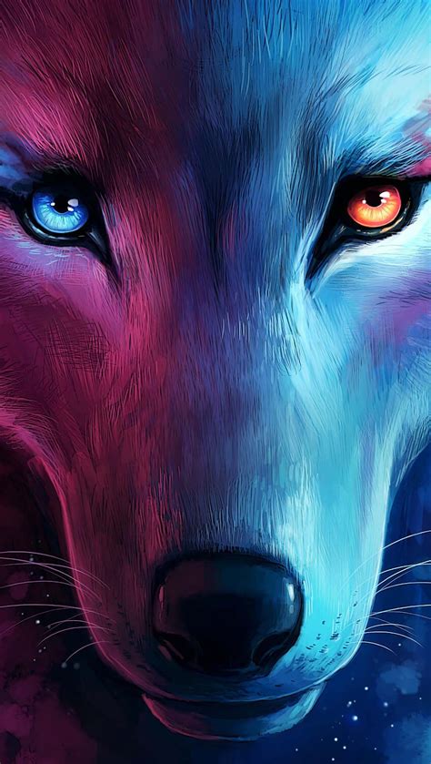 wolf color wallpapers wallpaper cave