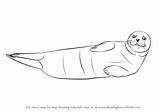 Seal Draw Harbor Drawing Seals Step Monk Hawaiian Drawings Tutorials Drawingtutorials101 Animal Doodle Common Tutorial Learn sketch template