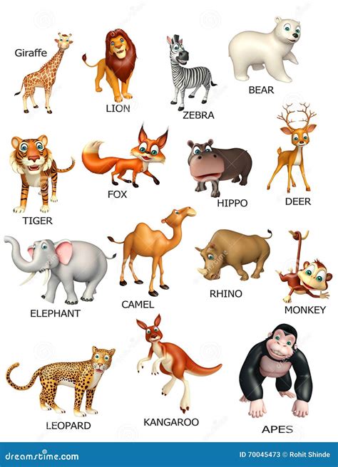 wild animal chart stock illustration illustration  comic