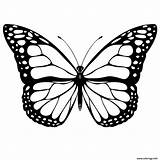 Coloriage Papillon Colorier Monarch Butterflies Mariposas Mariposa Blanco sketch template