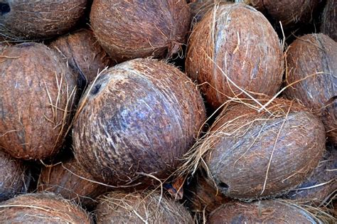 diese vitamine und naehrstoffe stecken  der kokosnuss