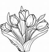 Tulips Tulipas Lalele Tulipany Colorat Tegninger Tulipaner Tulpe Tulpen Tulipan Flori Desene Til Supercoloring Kolorowanka Ausmalbild Tulipa Blumen Drukuj Ausdrucken sketch template