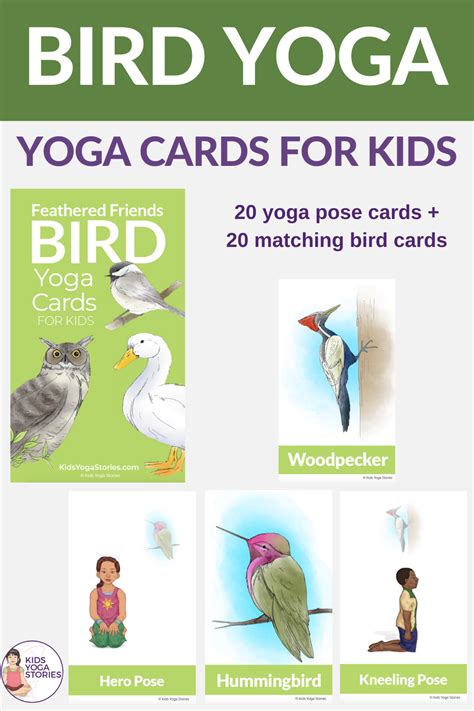 bird yoga cards  kids yoga  kids kids cards kids yoga poses