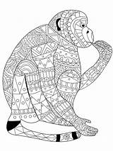 Monkey Coloring Pages Adults Adult Stress Book Anti Lace Vector Coloriage Zentangle Color Mandala Colouring Animal Illustration Drawing Sheets Printable sketch template