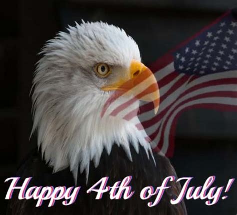july eagle  flag  happy fourth  july ecards