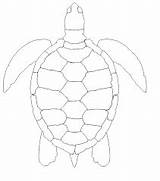 Sea Turtle Outline Drawing Google Clip Turtles Result sketch template