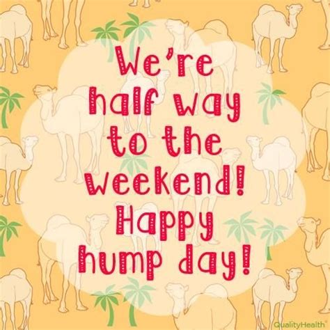 Hump Day Quotes Hump Day Sayings Hump Day Picture Quotes