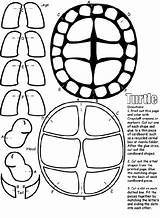Coloring Turtle Pages Ninja Turtles Shell Crayola Printable Color Cut Craft Print Party Template Sheets Animal Colouring Tmnt Head Pieces sketch template