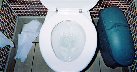 toilet water  good     tastes  study finds