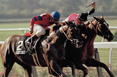 Bill Lyon Affirmed Alydar Triple Crown Rivalry One For The Ages