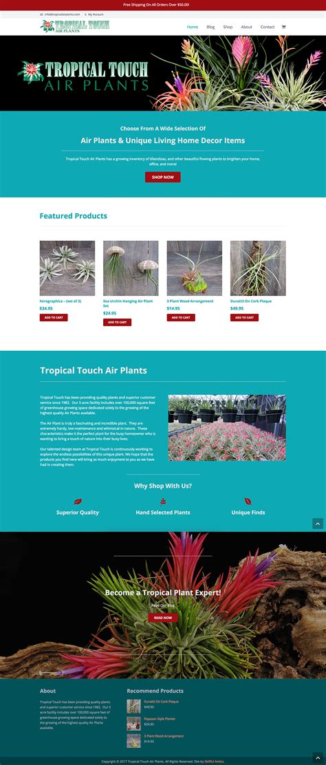 tropical touch website skillful antics