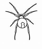 Spider Widow Easy Drawing Pages Sketch Coloring Draw Spiders Drawings Kids Printable Paintingvalley Sketches Template Tutorial Print sketch template