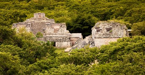 enormous mayan palace  great shape discovered deep   jungle