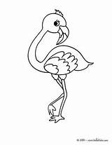 Flamingo Coloring Pages Cute Drawing Print Kids Animal Color Baby Heart Hellokids Simple Bird Template Flaming Printable Colouring Draw Getdrawings sketch template