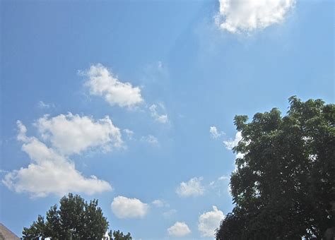 jkwgalleries clouds trees  blue sky