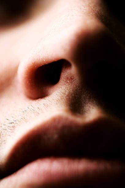 royalty  human nose pictures images  stock  istock