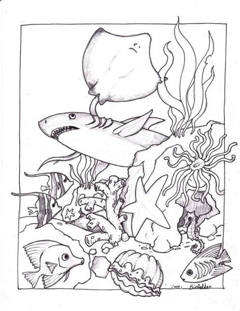 ocean coloring pages  adults coloring home