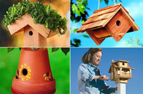 charming diy birdhouse plans  ideas nature bring naturebring