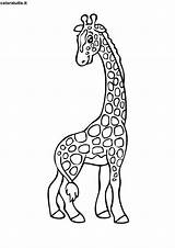 Giraffa Colorare Disegno Lacocinadenova Stampa sketch template