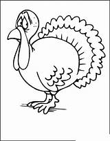 Coloring Turkey Pages Thanksgiving Funny Library Clipart Lil Fingers Popular sketch template