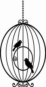 Cage Bird Coloring Pages Awesome Round Drawing Getdrawings Color Place Getcolorings Printable Flying Tocolor sketch template