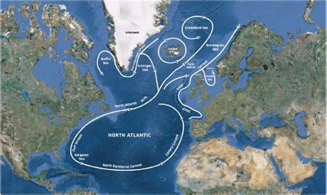 map  north atlantic area showing dominant ocean currents background