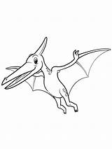 Pterodactyl Pteranodon Vectorstock sketch template