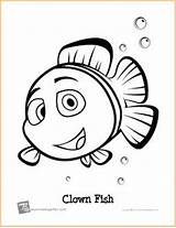 Clownfish Designlooter Printables sketch template