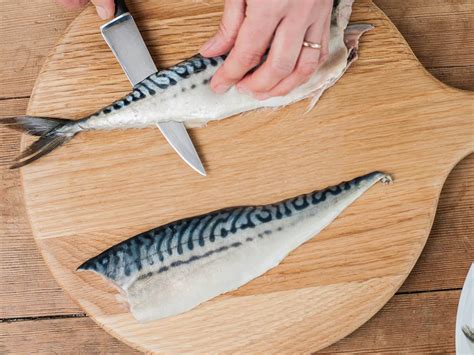 how to fillet mackerel and recipes from pate to kedgeree the independent