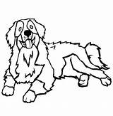 Bernese Chien Berner Sennen Kleurplaat Montagne Hund Sennenhund Tegning Colorluna Hunde 1001 Designlooter Tegninger Sketchite sketch template