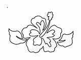 Hibiscus Colouring Hybiscus Bestcoloringpagesforkids Coloringhome sketch template