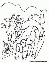 Coloring Billy Goat Popular Template Coloringhome sketch template
