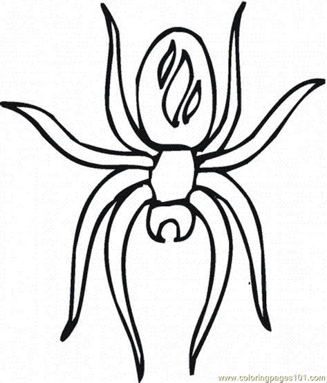spider printables coloring pages spider  animals arachnids