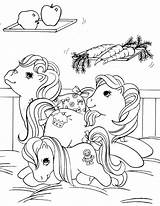 Ausmalbilder Sims Little Poney Colorir Ponies Meu Pequeno Filly Ponei Hdwallpapeers Gemt Fra sketch template