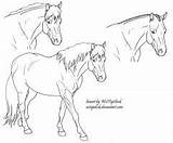 Welsh Cob Pony sketch template