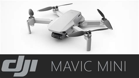 mavic mini price  india drone fest