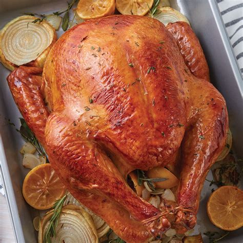 roasted turkey recipe wilton
