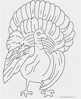Thanksgiving Poultry Color Coloring sketch template