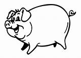 Pig Coloring Pages Colouring Animals Animal Smiling Kids Sheets Farm Sheet Drawing Discover Pigs sketch template