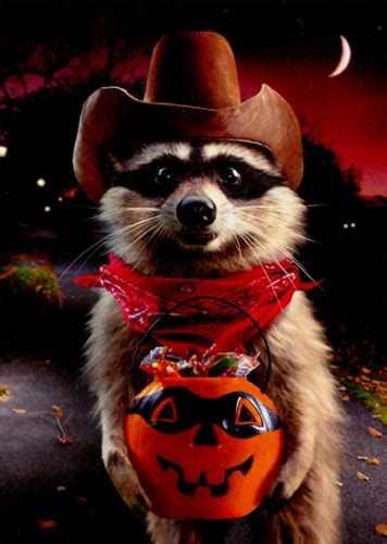 avanti press raccoon cowboy trick  treating funny halloween card