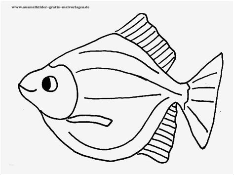 fische zeichnen vorlagen erstaunlich ausmalbilder fische gratis vorlage