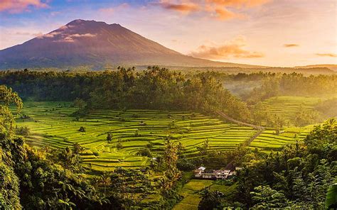 1920x1080px 1080p Free Download Bali Rice Fields Sunset Summer